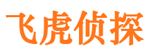 东湖市私人侦探